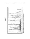 NOVEL CANCER-ASSOCIATED ANTIGEN diagram and image