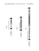 Compositions and Methods for the Treatment or Prevention of Hepatitis B     Virus Infection diagram and image