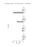 Compositions and Methods for the Treatment or Prevention of Hepatitis B     Virus Infection diagram and image