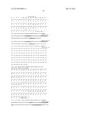 POLY-N-ACETYL GLUCOSAMINE (PNAG/DPNAG)-BINDING PEPTIDES AND METHODS OF USE     THEREOF diagram and image