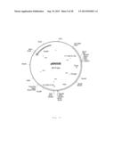 INTERGENIC REGIONS AS INSERTION SITES IN THE GENOME OF MODIFIED VACCINIA     VIRUS ANKARA (MVA) diagram and image