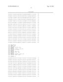 INTERGENIC REGIONS AS INSERTION SITES IN THE GENOME OF MODIFIED VACCINIA     VIRUS ANKARA (MVA) diagram and image