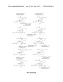 INCORPORATION OF PARTICULATE CERAGENINS IN POLYMERS diagram and image