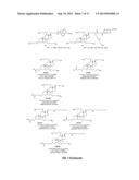 INCORPORATION OF PARTICULATE CERAGENINS IN POLYMERS diagram and image