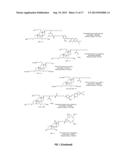 INCORPORATION OF PARTICULATE CERAGENINS IN POLYMERS diagram and image