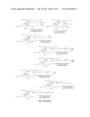 INCORPORATION OF PARTICULATE CERAGENINS IN POLYMERS diagram and image