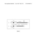 Vitronectin:Keratinocyte Growth Factor Chimeras diagram and image