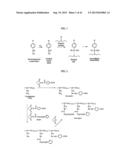 PHOTOCHEMICAL ACTIVATION OF SURFACES FOR ATTACHING BIOMATERIAL diagram and image