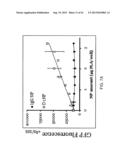 PHOTOCHEMICAL ACTIVATION OF SURFACES FOR ATTACHING BIOMATERIAL diagram and image