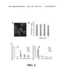 MICELLE COMPOSITIONS AND METHODS FOR THEIR USE diagram and image