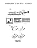 METHOD FOR AMPLIFICATION-FREE NUCLEIC ACID DETECTION ON OPTOFLUIDIC CHIPS diagram and image