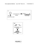 METHOD FOR AMPLIFICATION-FREE NUCLEIC ACID DETECTION ON OPTOFLUIDIC CHIPS diagram and image