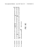 Methods and Compositions for Discrimination Between Cytosine and     Modifications Thereof and for Methylome Analysis diagram and image