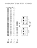 Methods and Compositions for Discrimination Between Cytosine and     Modifications Thereof and for Methylome Analysis diagram and image