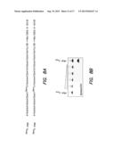 Methods and Compositions for Discrimination Between Cytosine and     Modifications Thereof and for Methylome Analysis diagram and image