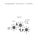 NMR SYSTEMS AND METHODS FOR THE RAPID DETECTION OF ANALYTES diagram and image