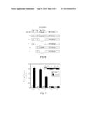 NUCLEIC ACID CONSTRUCT AND COMPLEX FORMATION METHOD AND SCREENING METHOD     USING THE SAME diagram and image