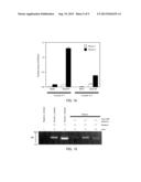 NUCLEIC ACID CONSTRUCT AND COMPLEX FORMATION METHOD AND SCREENING METHOD     USING THE SAME diagram and image