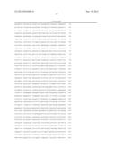 EXPRESSION VECTOR FOR HIGH LEVEL EXPRESSION OF RECOMBINANT PROTEINS diagram and image