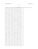 EXPRESSION VECTOR FOR HIGH LEVEL EXPRESSION OF RECOMBINANT PROTEINS diagram and image