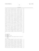 EXPRESSION VECTOR FOR HIGH LEVEL EXPRESSION OF RECOMBINANT PROTEINS diagram and image