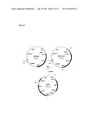 Biofuel Production diagram and image