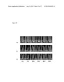 Biofuel Production diagram and image