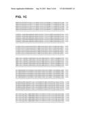 COMPOSITIONS RELATING TO A MUTANT CLOSTRIDIUM DIFFICILE TOXIN AND METHODS     THEREOF diagram and image