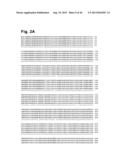 COMPOSITIONS RELATING TO A MUTANT CLOSTRIDIUM DIFFICILE TOXIN AND METHODS     THEREOF diagram and image