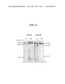 COMPOSITIONS RELATING TO A MUTANT CLOSTRIDIUM DIFFICILE TOXIN AND METHODS     THEREOF diagram and image