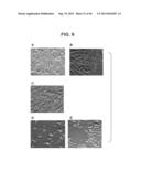 COMPOSITIONS RELATING TO A MUTANT CLOSTRIDIUM DIFFICILE TOXIN AND METHODS     THEREOF diagram and image