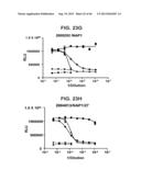 COMPOSITIONS RELATING TO A MUTANT CLOSTRIDIUM DIFFICILE TOXIN AND METHODS     THEREOF diagram and image