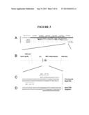 TAREGTED INTEGRATION AND EXPRESSION OF EXOGENOUS NUCLEIC ACID SEQUENCES diagram and image