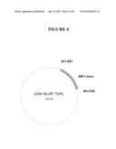 TAREGTED INTEGRATION AND EXPRESSION OF EXOGENOUS NUCLEIC ACID SEQUENCES diagram and image