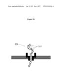 Nanopore Based Molecular Detection and Sequencing diagram and image