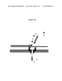 Nanopore Based Molecular Detection and Sequencing diagram and image