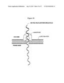 Nanopore Based Molecular Detection and Sequencing diagram and image