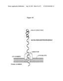 Nanopore Based Molecular Detection and Sequencing diagram and image