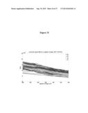 Nanopore Based Molecular Detection and Sequencing diagram and image