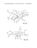 [[Multi-Ply]] Strap guide system and methods thereof for robotic surgical     arms Drive Trains for Robotic Arms diagram and image