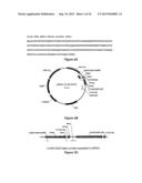 TARGETED PROBES OF CELLULAR PHYSIOLOGY diagram and image