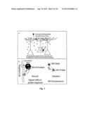 TARGETED PROBES OF CELLULAR PHYSIOLOGY diagram and image