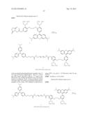 TARGETED PROBES OF CELLULAR PHYSIOLOGY diagram and image