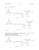 TARGETED PROBES OF CELLULAR PHYSIOLOGY diagram and image