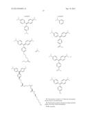 TARGETED PROBES OF CELLULAR PHYSIOLOGY diagram and image