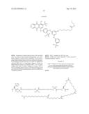 Novel GLP-1 Derivatives diagram and image