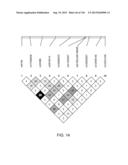 GENETIC POLYMORPHISMS ASSOCIATED WITH DEPRESSION diagram and image