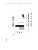 USE OF 3-METHOXY-PREGNENOLONE FOR THE PREPARATION OF A DRUG FOR TREATING     DEPRESSIVE DISORDERS AND LONG-TERM NEUROLOGICAL DISEASES diagram and image