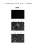 Aryl-Phenyl-Sulfonamido-Cycloalkyl Compounds and Their Use diagram and image