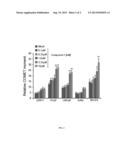 TREATMENT OF CANCER WITH TOR KINASE INHIBITORS diagram and image